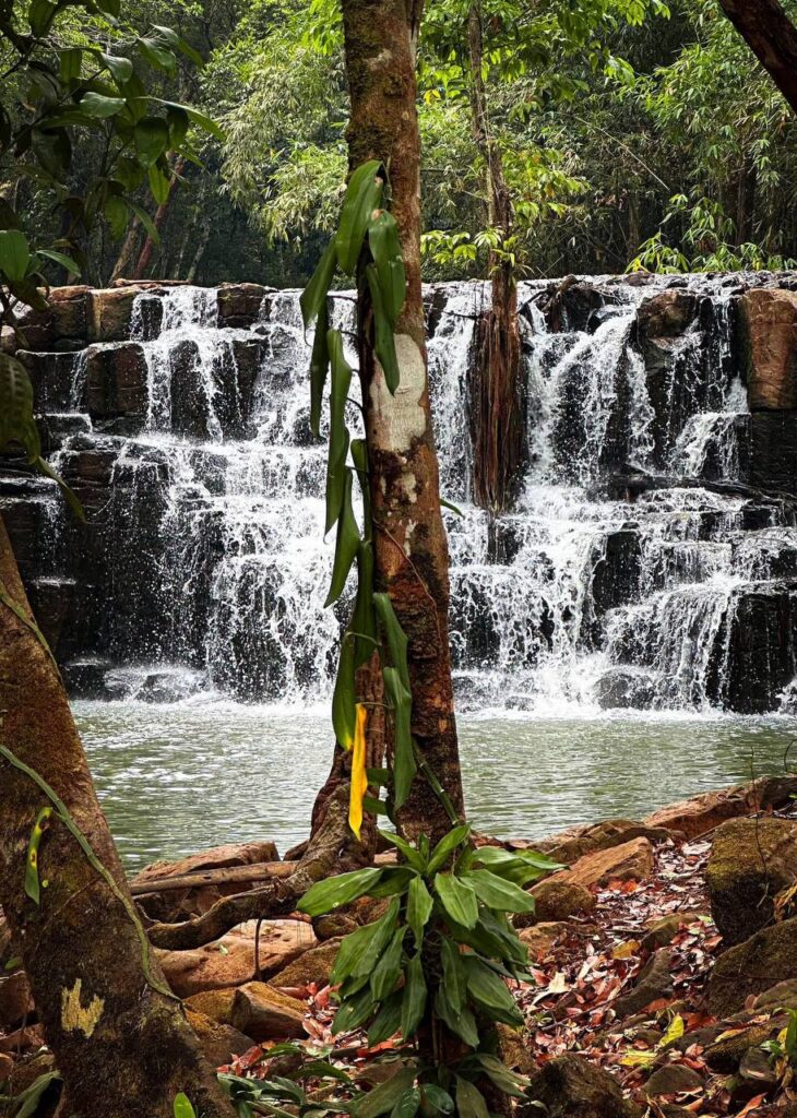 photo_2025-10-22_09-23-33 (2)