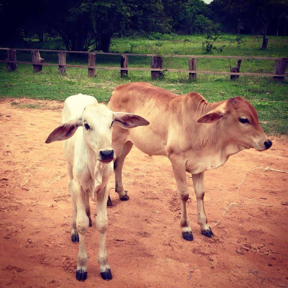 photo_2026-01-17_08-25-39