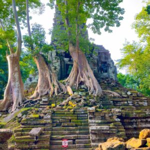 Private Transfer from Phnom Penh to Siem Reap via Sambor Prei Kuk