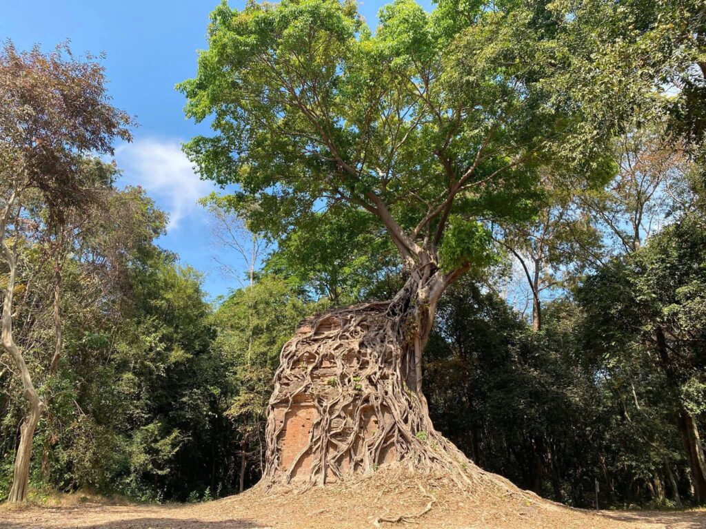 temple3